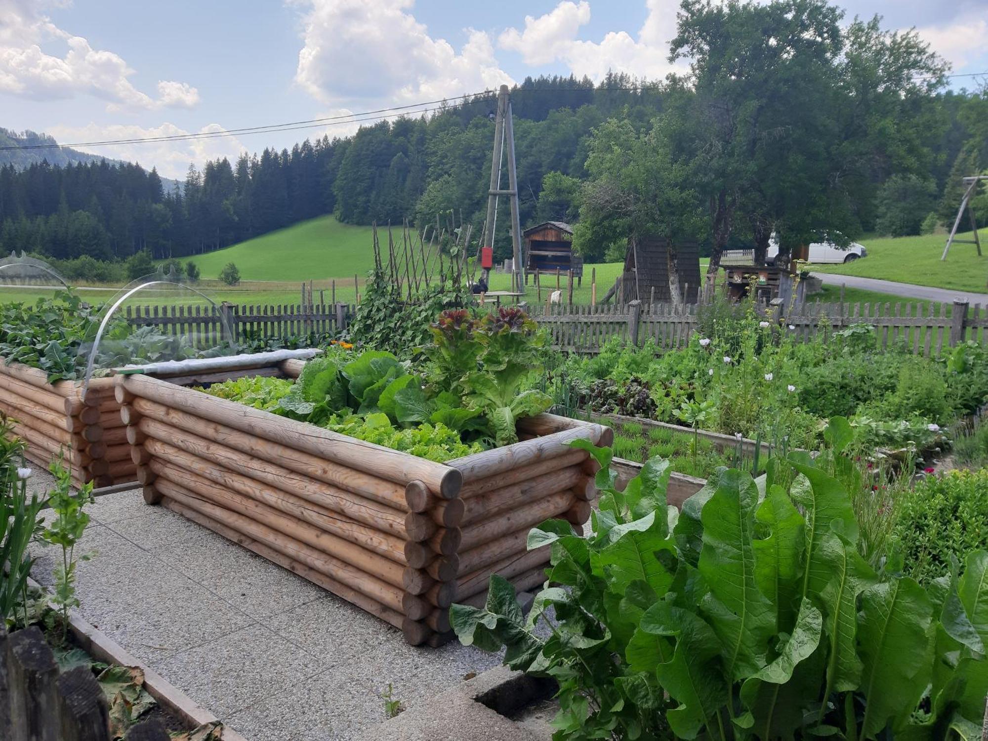 Bauernhof Ablass Göstling an der Ybbs Exterior foto